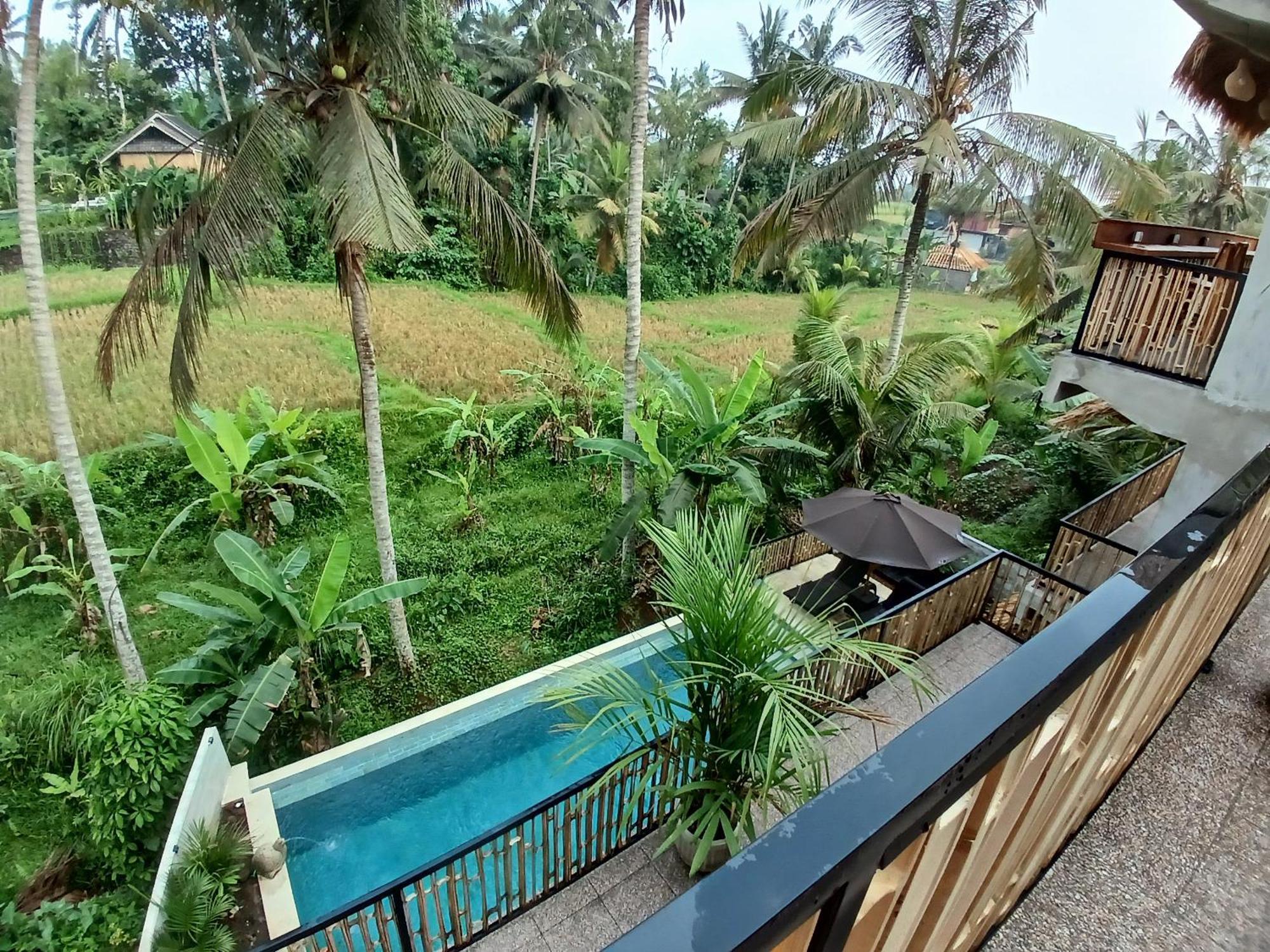 Bali View Ubud Hotel 외부 사진