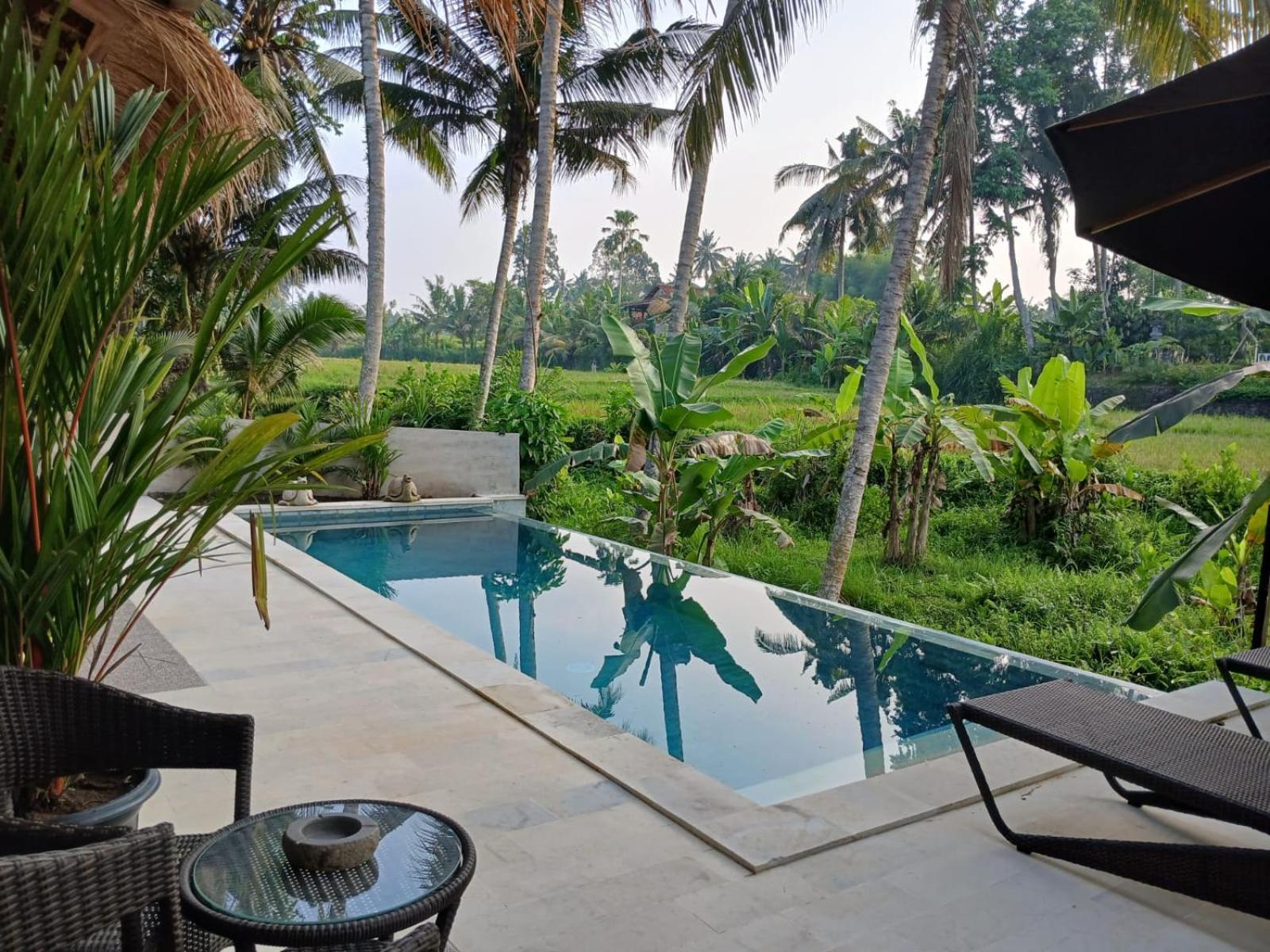 Bali View Ubud Hotel 외부 사진